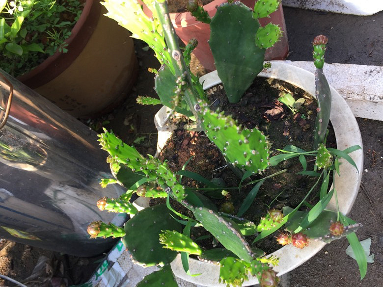 ��ʵ��Ҳ���ֶ��⣬���ǳ��������