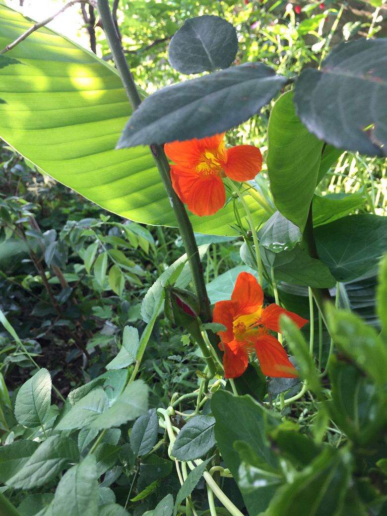 �����ϵ��ǻ���