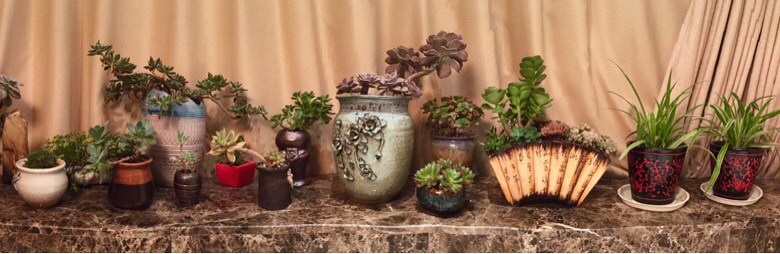 ������̬