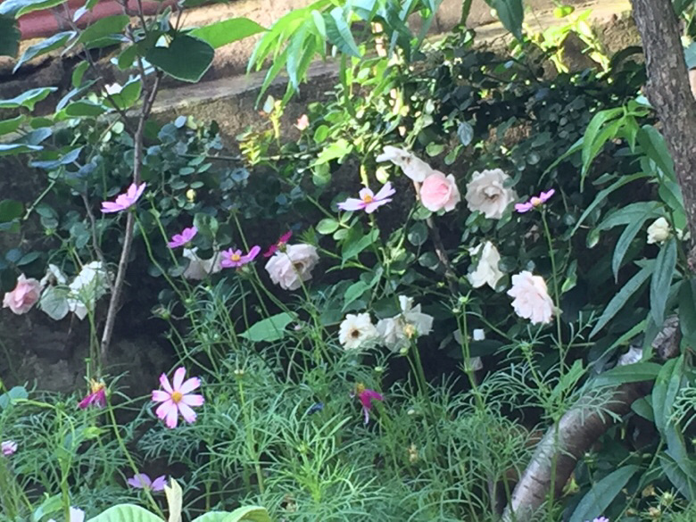 �����ϵ��ǻ���