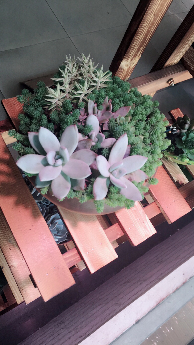 �����Ⱑ��