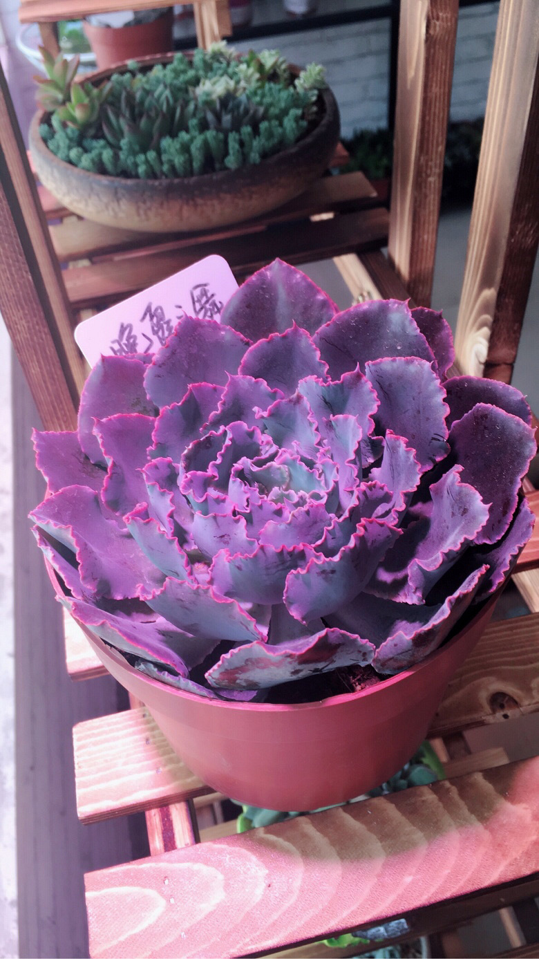 �����Ⱑ��