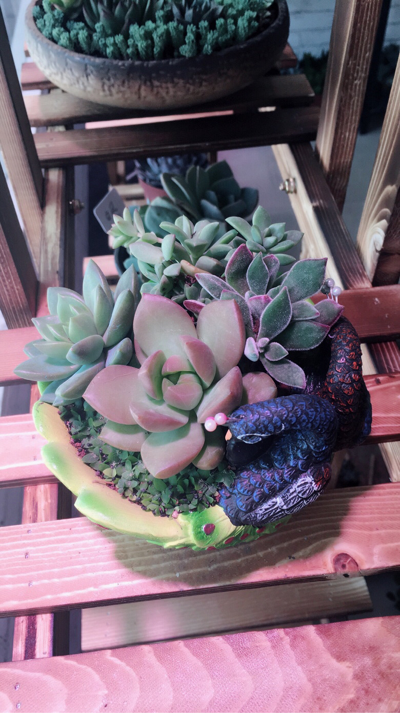 �����Ⱑ��