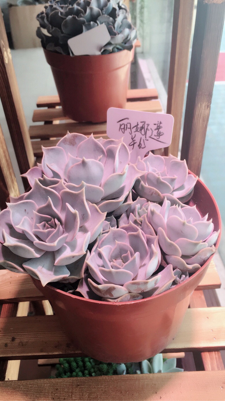 �����Ⱑ��