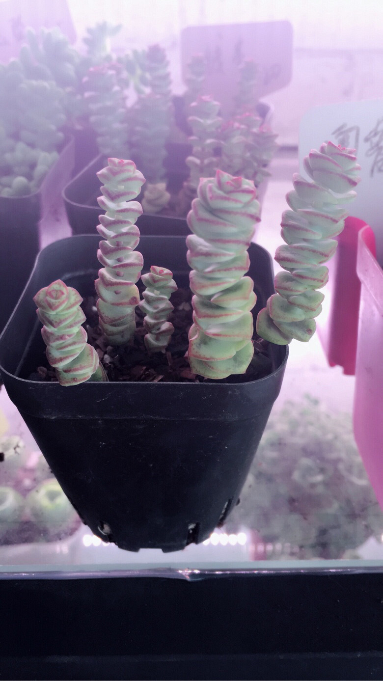 �����Ⱑ��