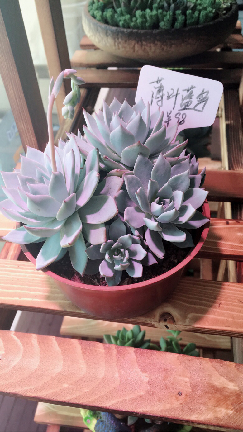 �����Ⱑ��