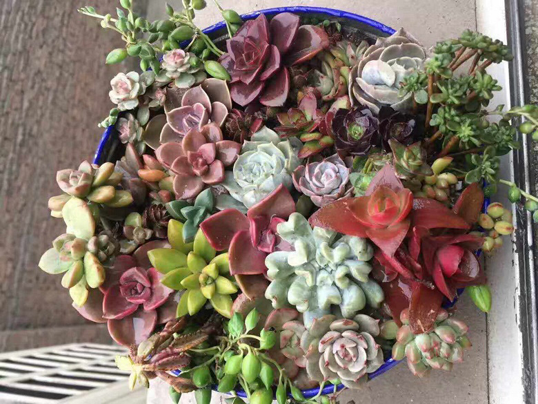 ����ۿ�����Ŷ