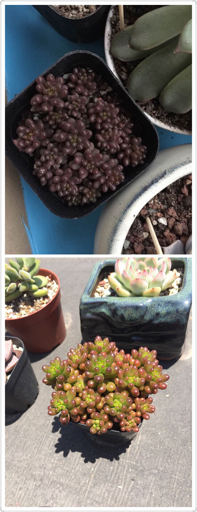 ��Ӱ������ռ�����