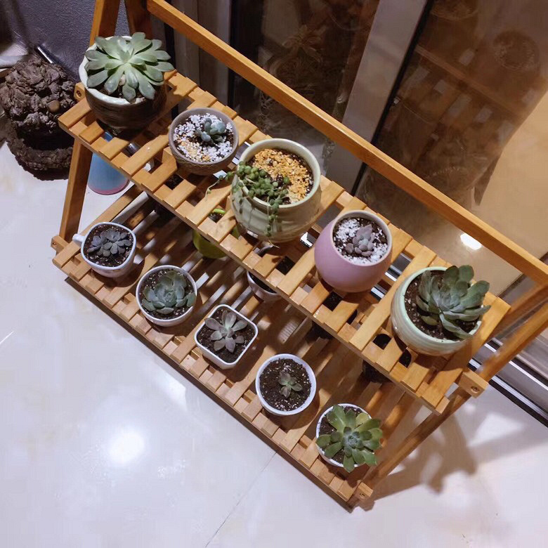 ��Ӱ������ռ�����