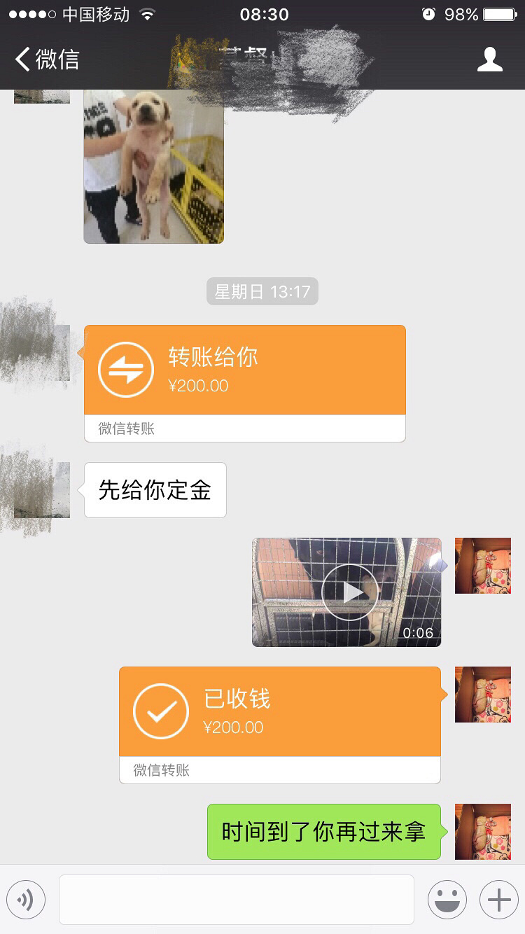 �Լ������������������һ��С��