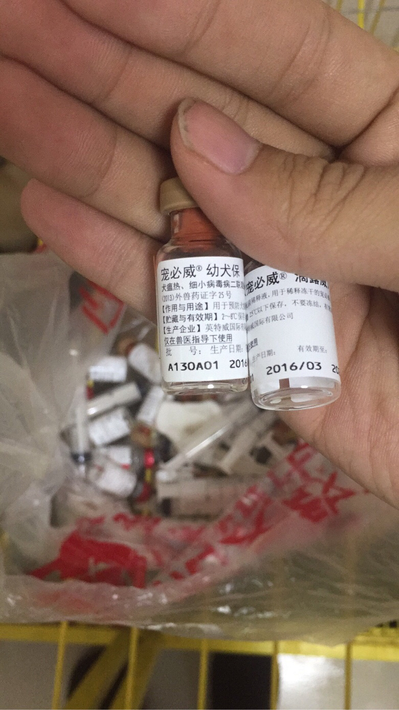 �Լ������������������һ��С��