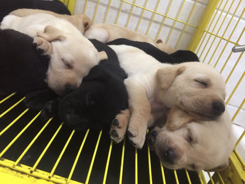 �Լ������������������һ��С��