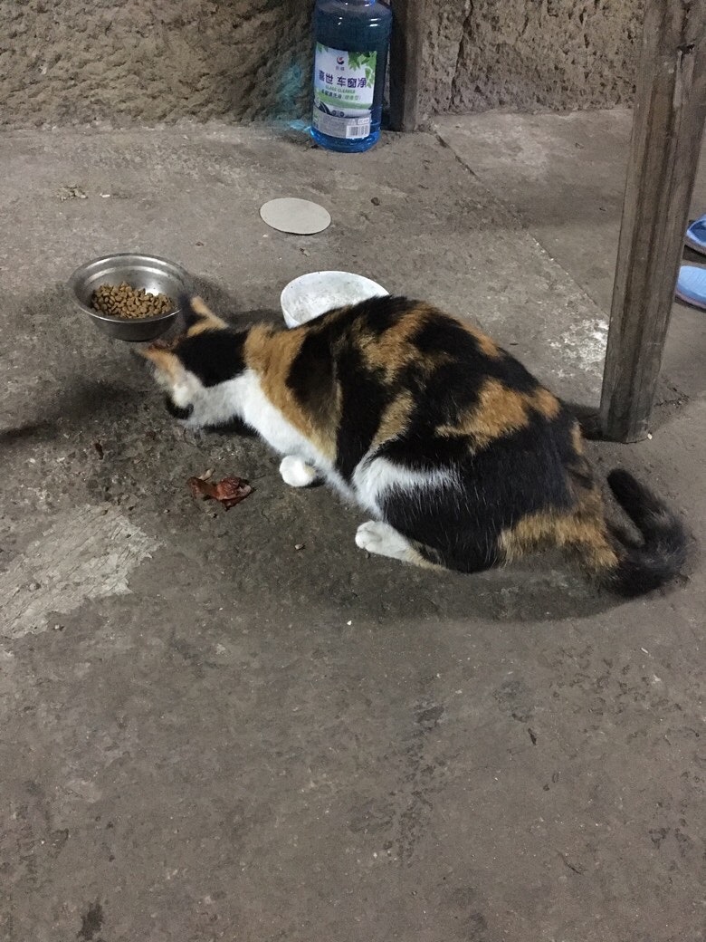 �������������