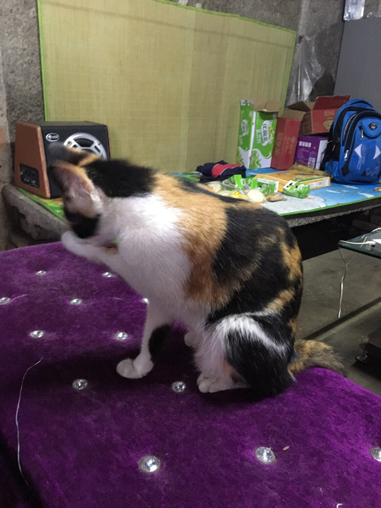 �������������