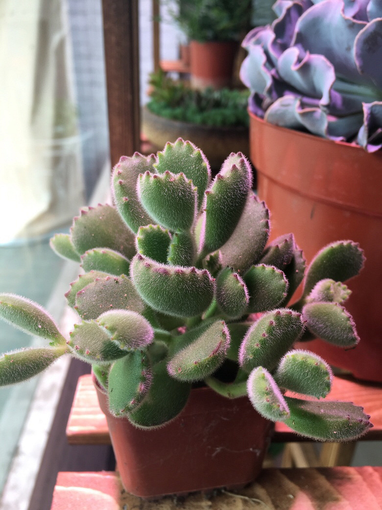 ÿ����һ��