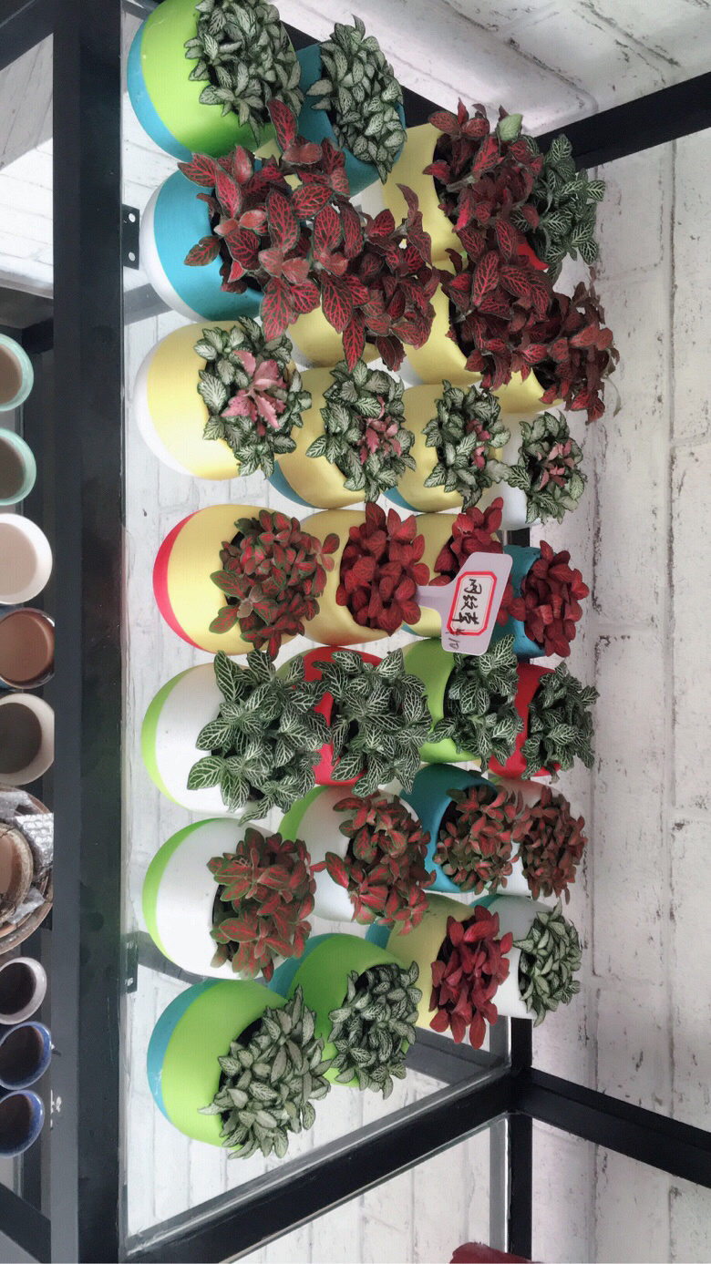 ÿ����һ��