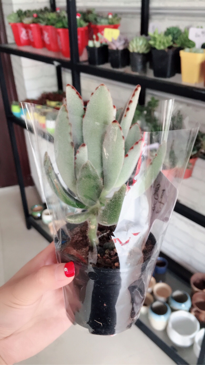 ÿ����һ��