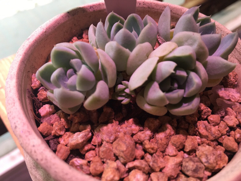 ÿ����һ��