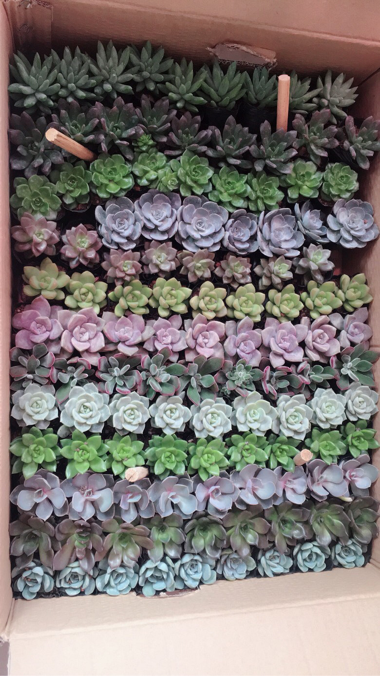 ÿ��һ����֤��������(������)��