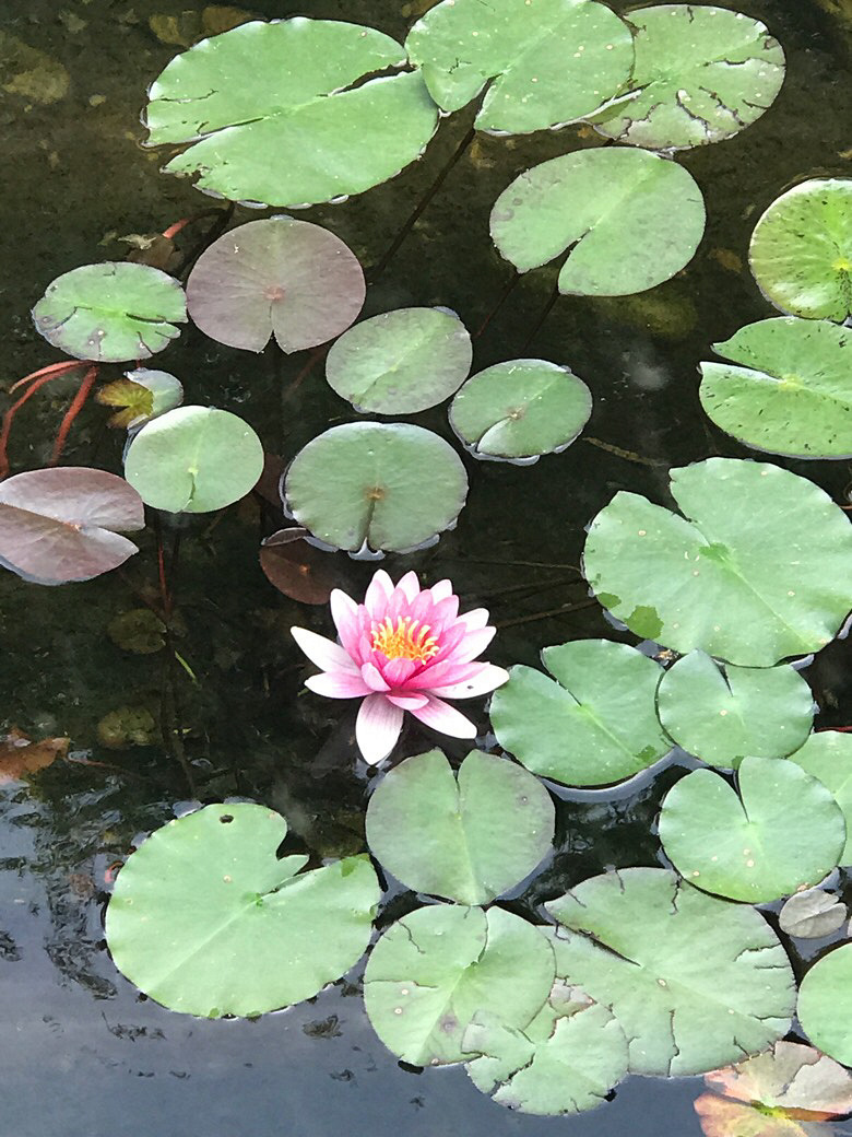 �����Ȳ�������