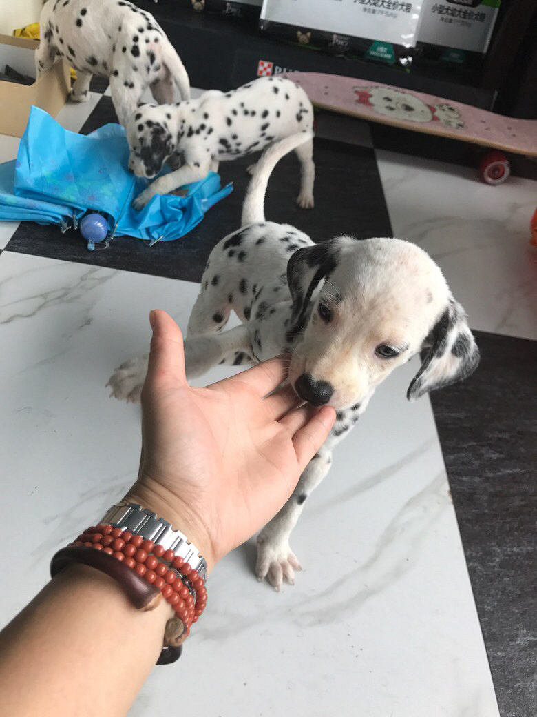 �ߵ�ܵ��Һ��˼�����