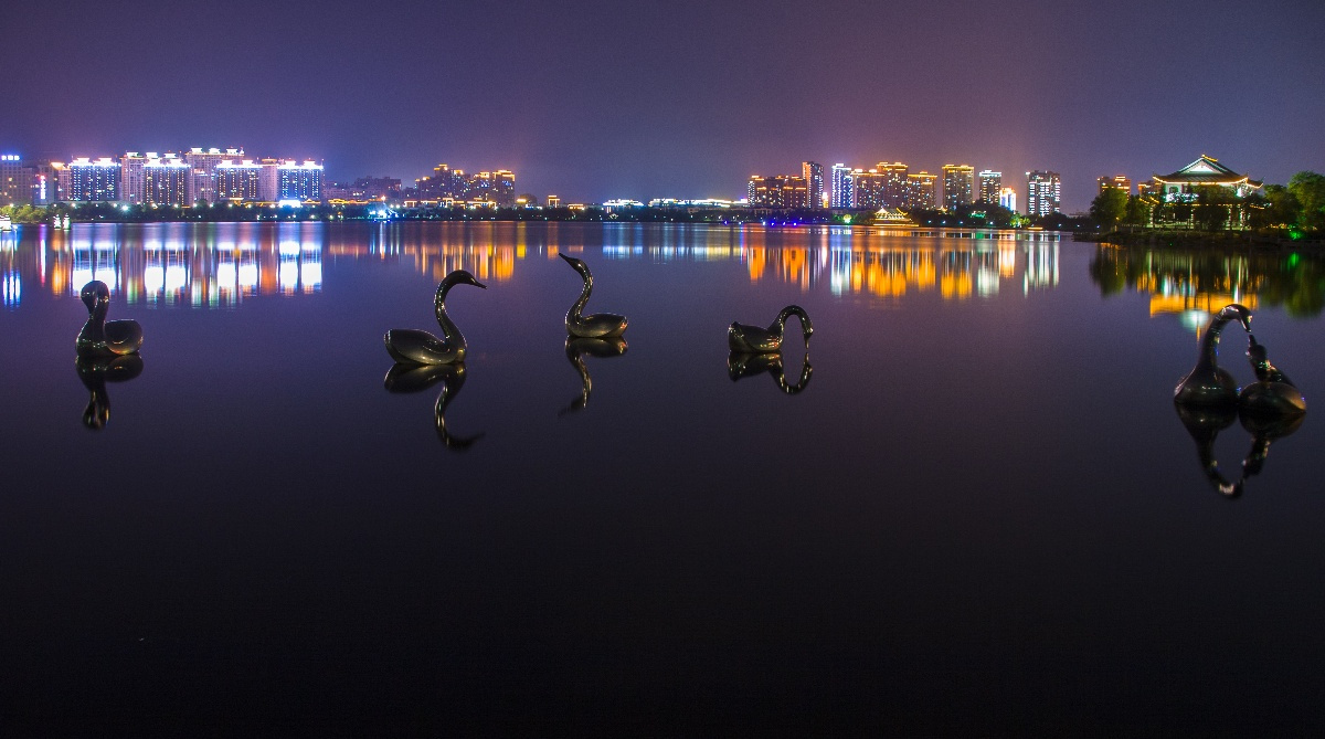 灵湖夜景