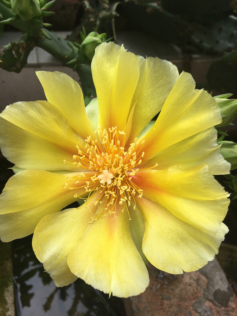 ��ʮ����ͷ�����᲻�ٹ�