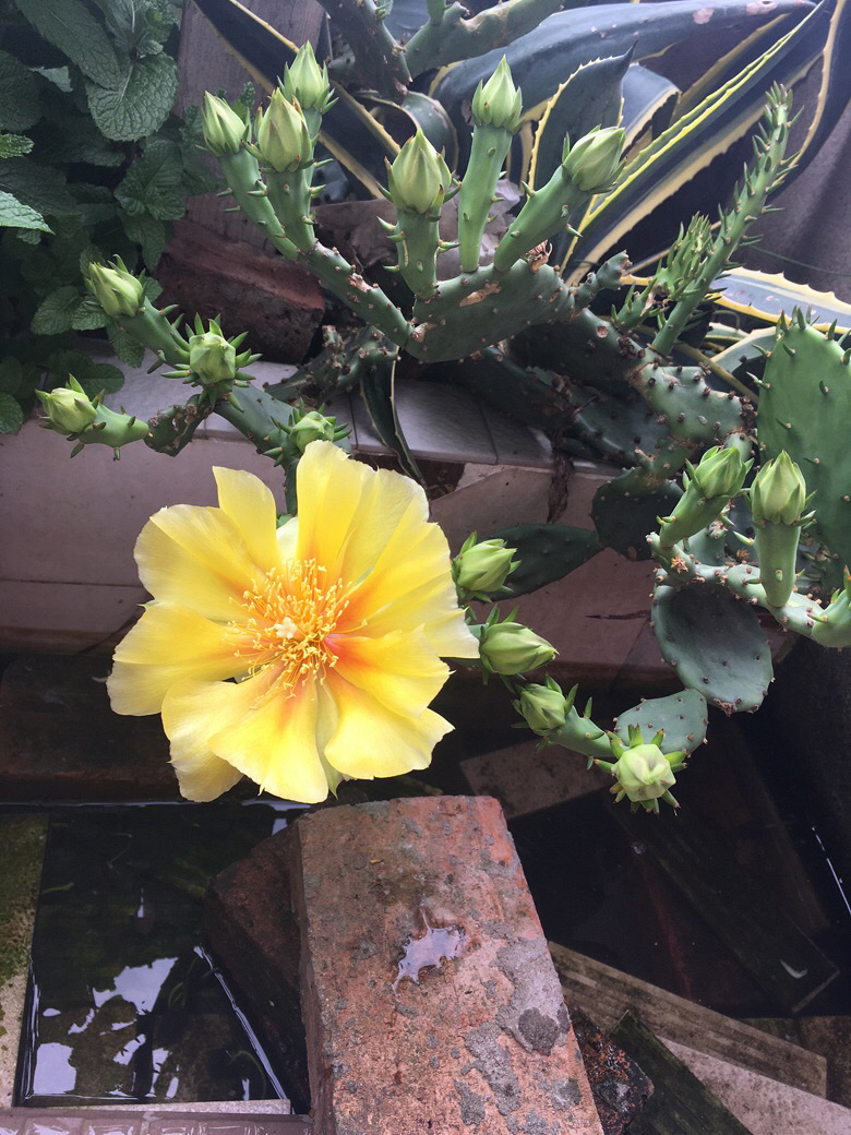 ��ʮ����ͷ�����᲻�ٹ�