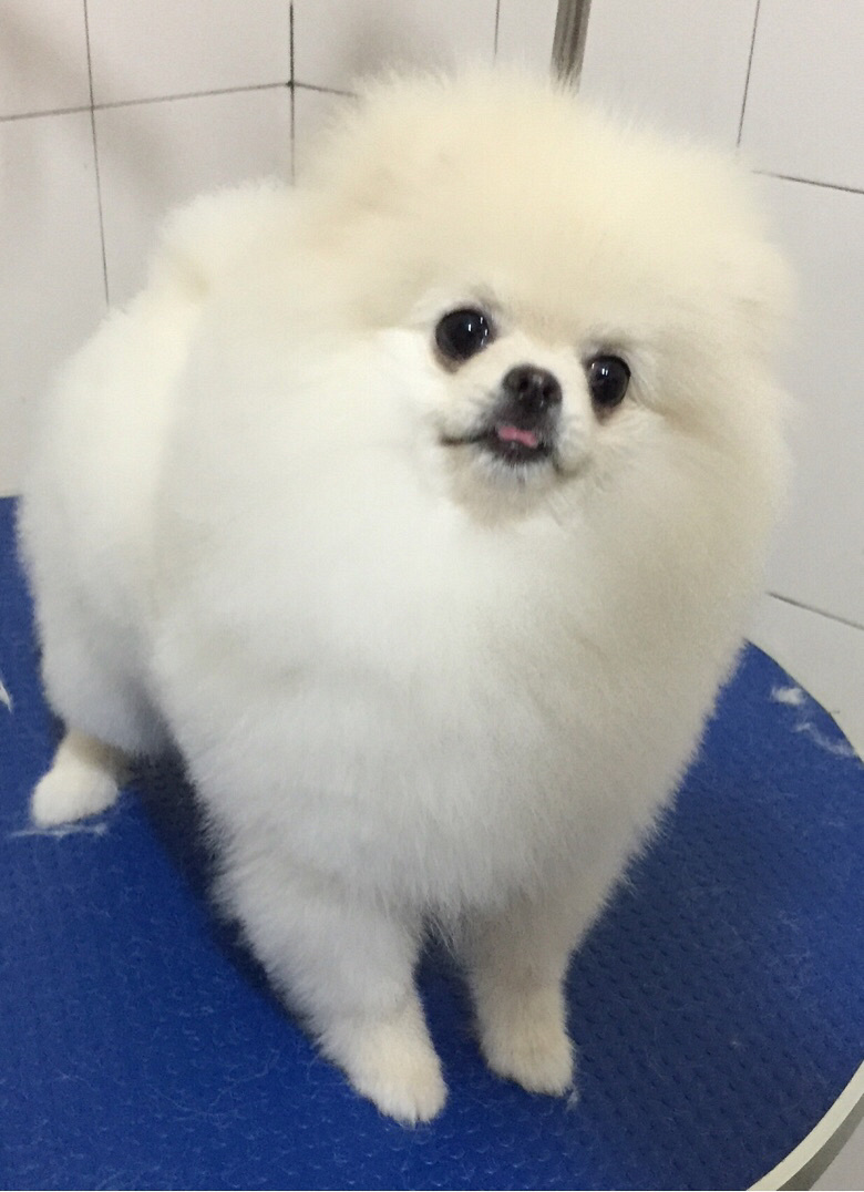 ��ҳ谮�м�����ݻ�ӭ��ҹ���