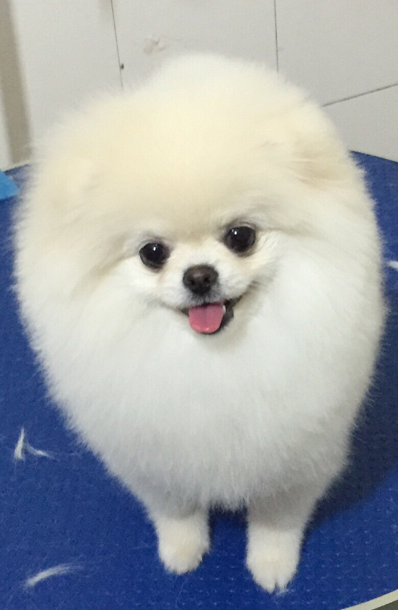 ��ҳ谮�м�����ݻ�ӭ��ҹ���