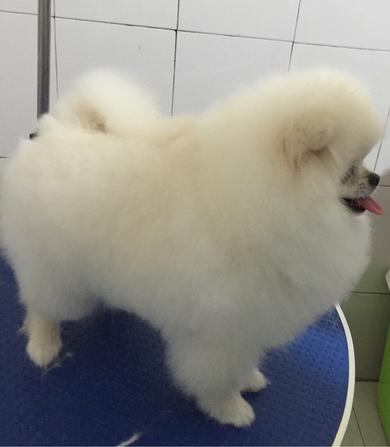 ��ҳ谮�м�����ݻ�ӭ��ҹ���