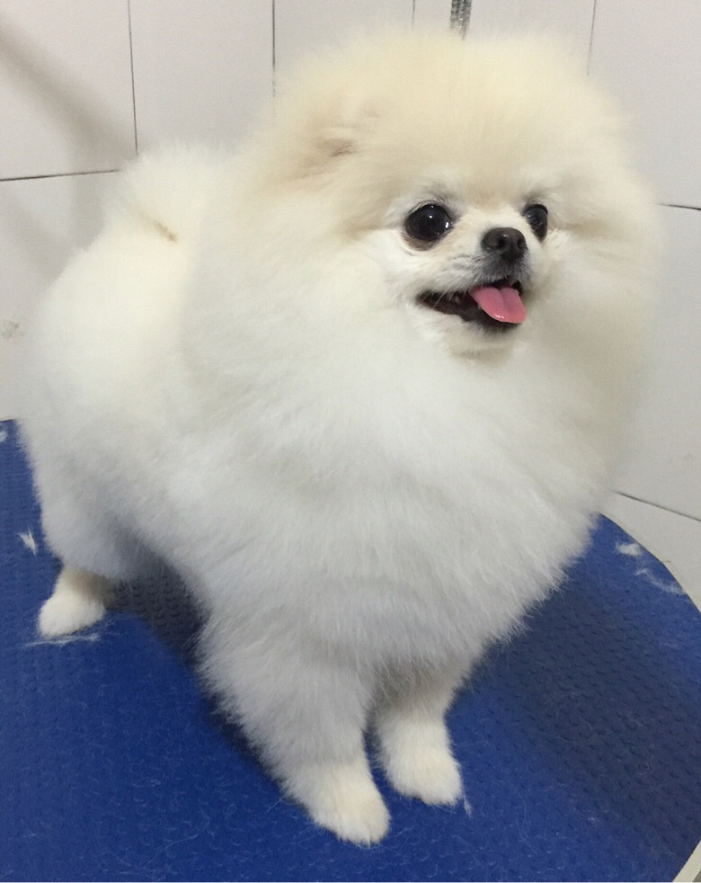 ��ҳ谮�м�����ݻ�ӭ��ҹ���