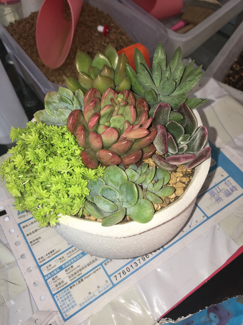 ��һ������