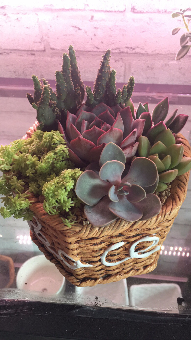 ��һ������