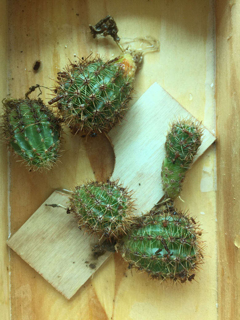 ��л����������@΢�ŷ�����������