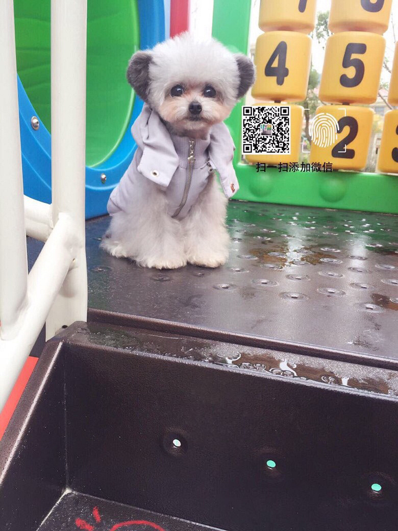 �Ҽ��й���û��  �������ʺ�����������