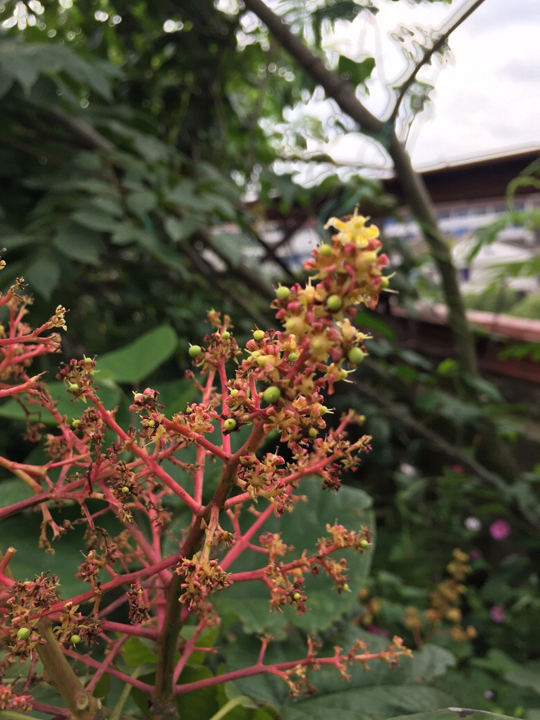 �۸¸¸¸£�׳�Ҵ�̨�ݣ�¥��â���ҹ���