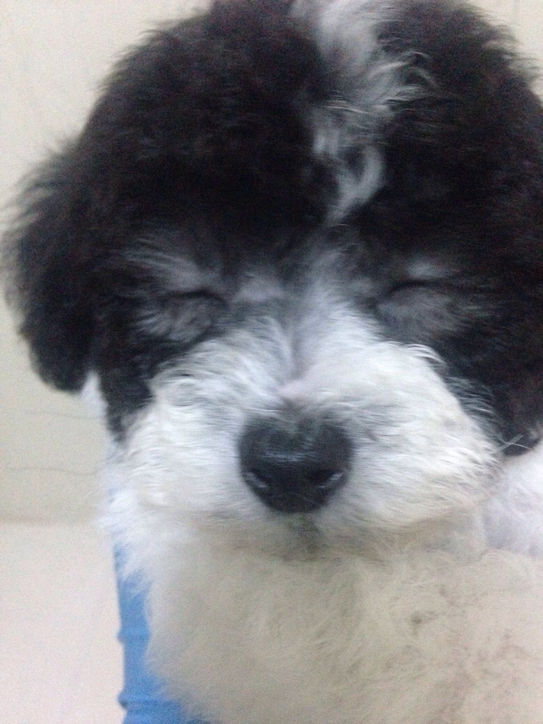 ����̩�����¼ҡ���Ǯ����