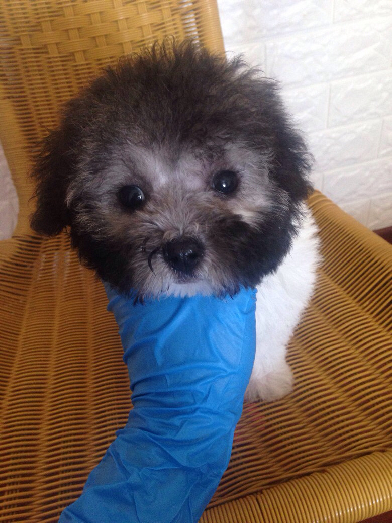 ����̩�����¼ҡ���Ǯ����