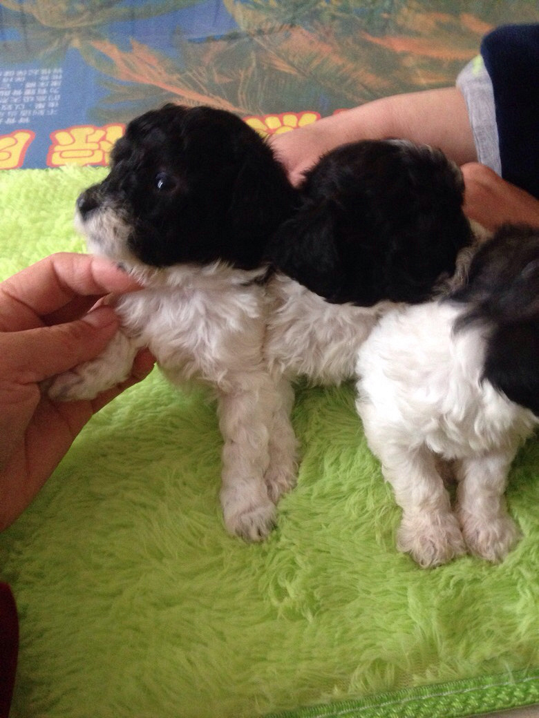 ����̩�����¼ҡ���Ǯ����