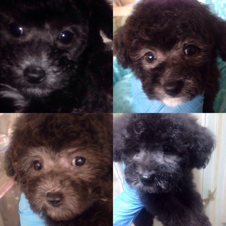 ����̩�����¼ҡ���Ǯ����