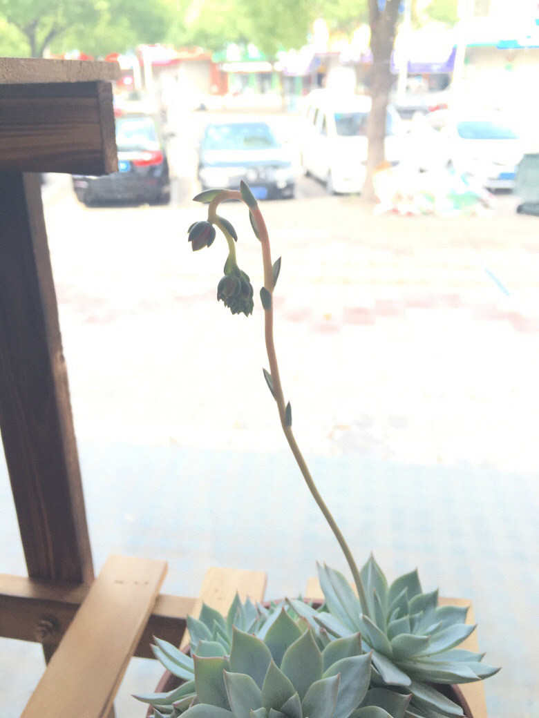 ÿ��һ������