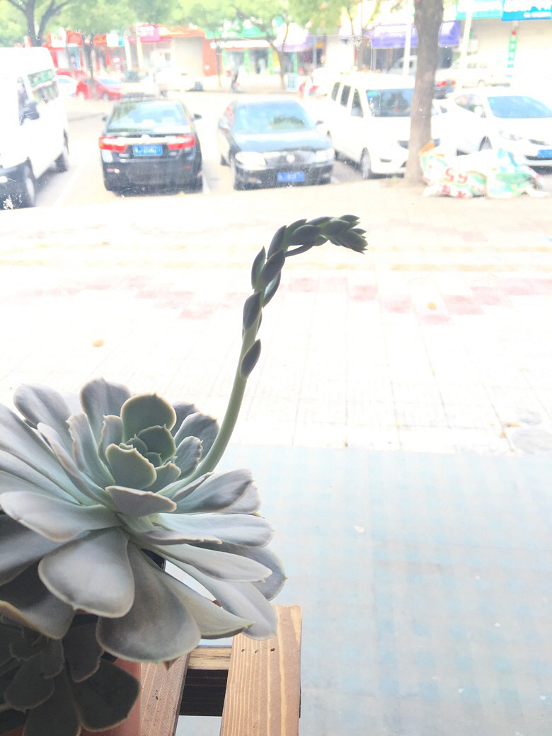 ÿ��һ������