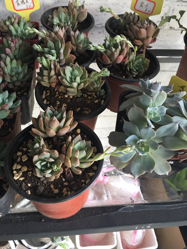 ÿ��һ������