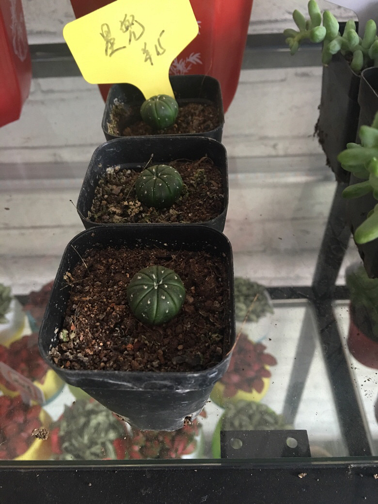 ÿ��һ������