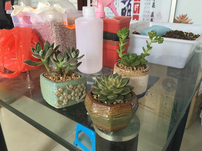 ÿ��һ������