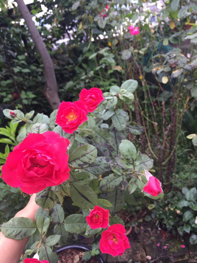 ����������