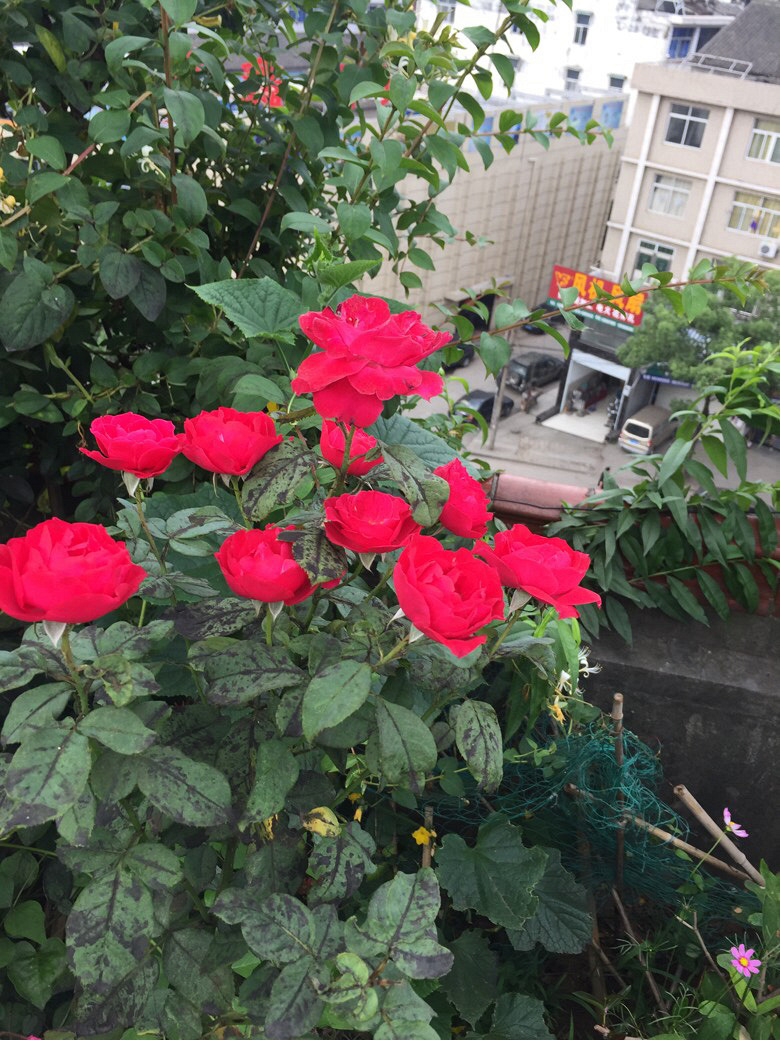 ����������