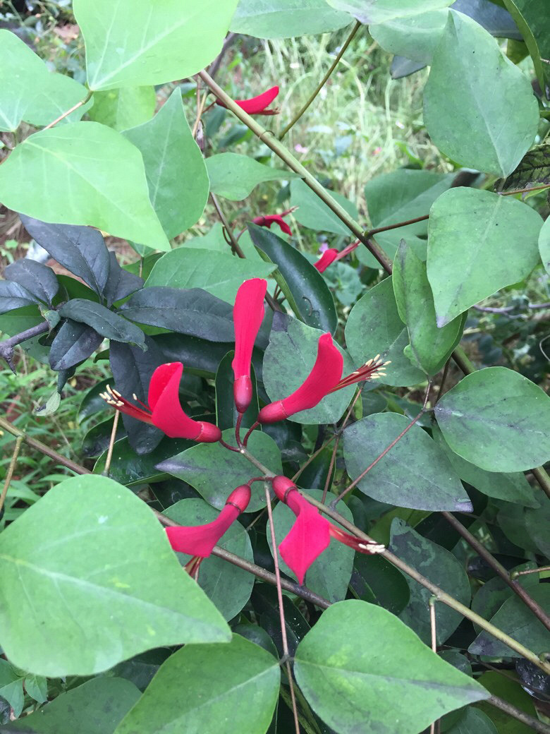 ����������