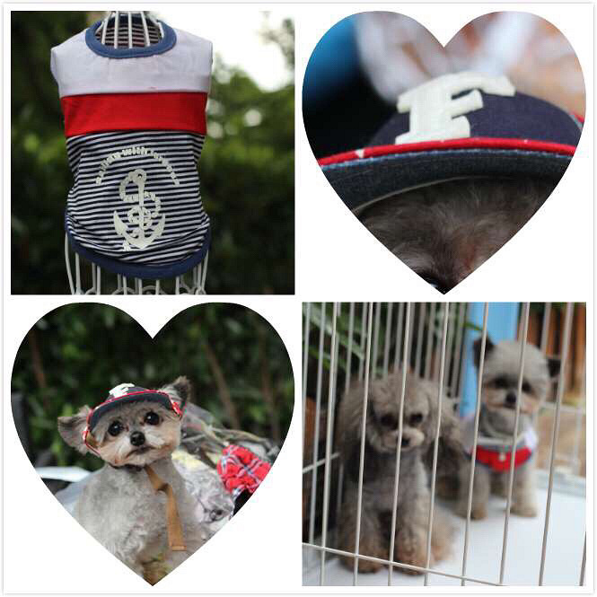 ��Ҫ�ó����κ���